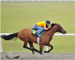 MaryLoughlan10PrepWeb.jpg