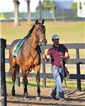Bandeau10AfterBreezeWeb.jpg