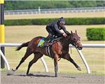 MoochieToo10Breeze1Web.jpg