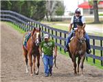 Shawgatny10Post-BreezeWeb.jpg