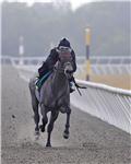 ThrobbinHeart10Breeze1Web.jpg