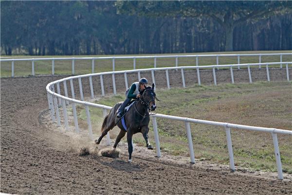 EarlybirdRoad11BrJan162013