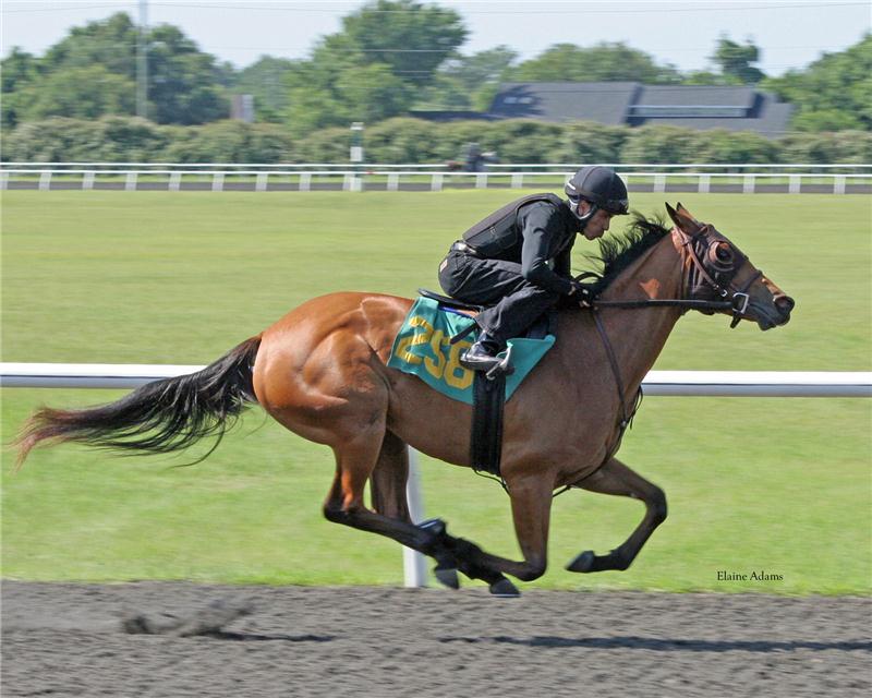 Hip258-Breeze-web(1)