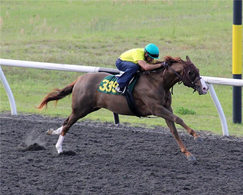 Hip339-RiverGlow2013 (2)