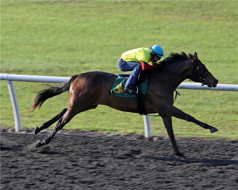 Hip34-LanesFolly2013 (1)