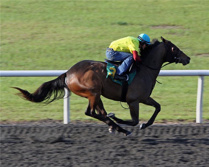 Hip34-LanesFolly2013 (2)