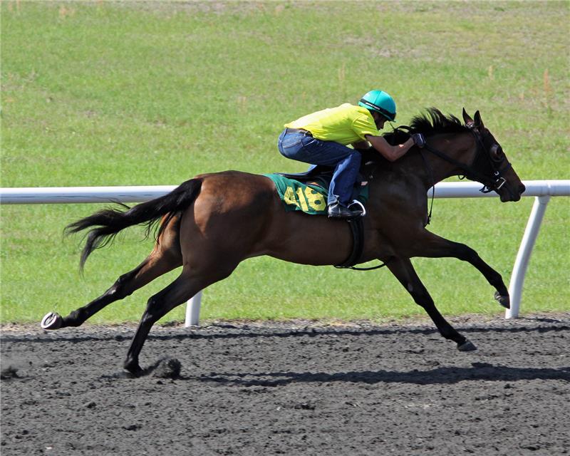 Hip418-ShesARebelToo2013 (2)