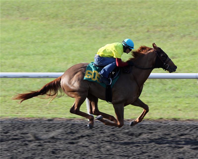 Hip609-TwiliteRendezvous2013 (2)