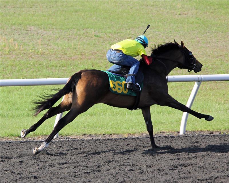 Hip660-WekivaMist2013 (2)