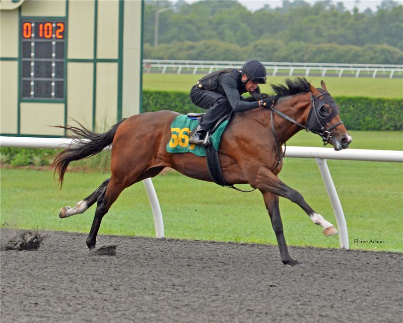 Hip667-breeze-web