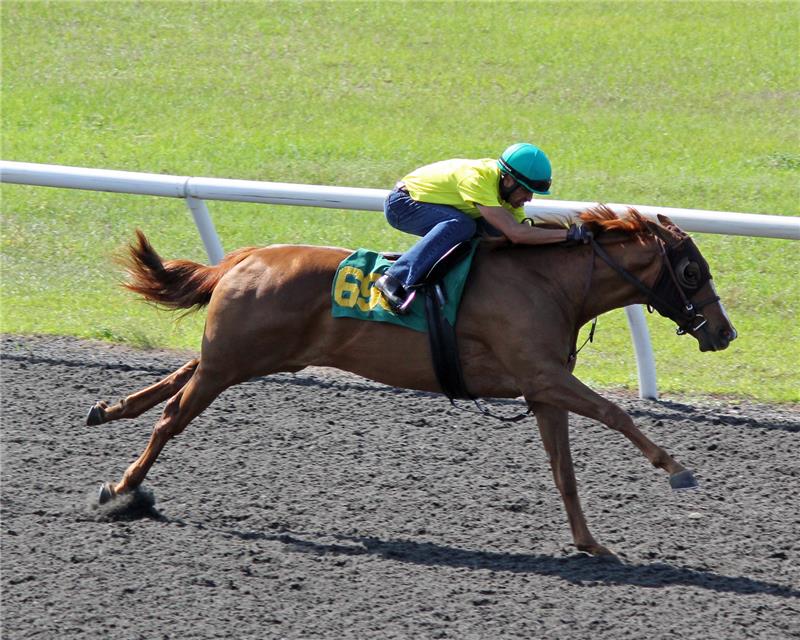 Hip698-ZeroInterest2013 (2)