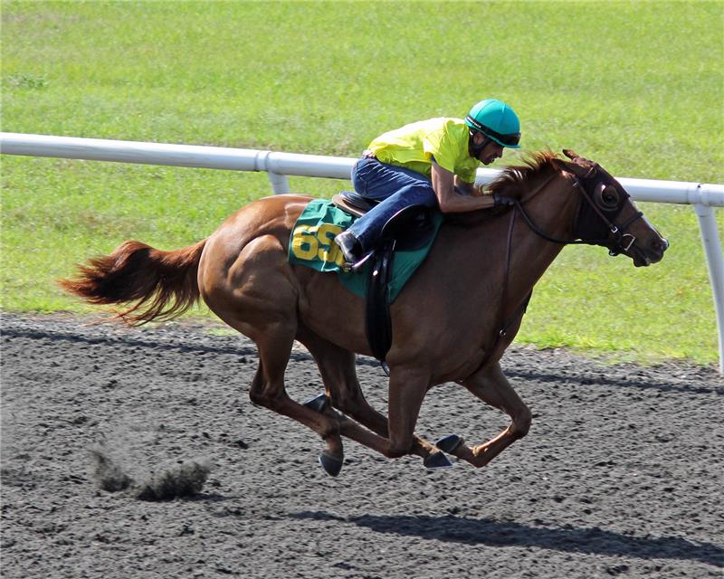 Hip698-ZeroInterest2013 (3)