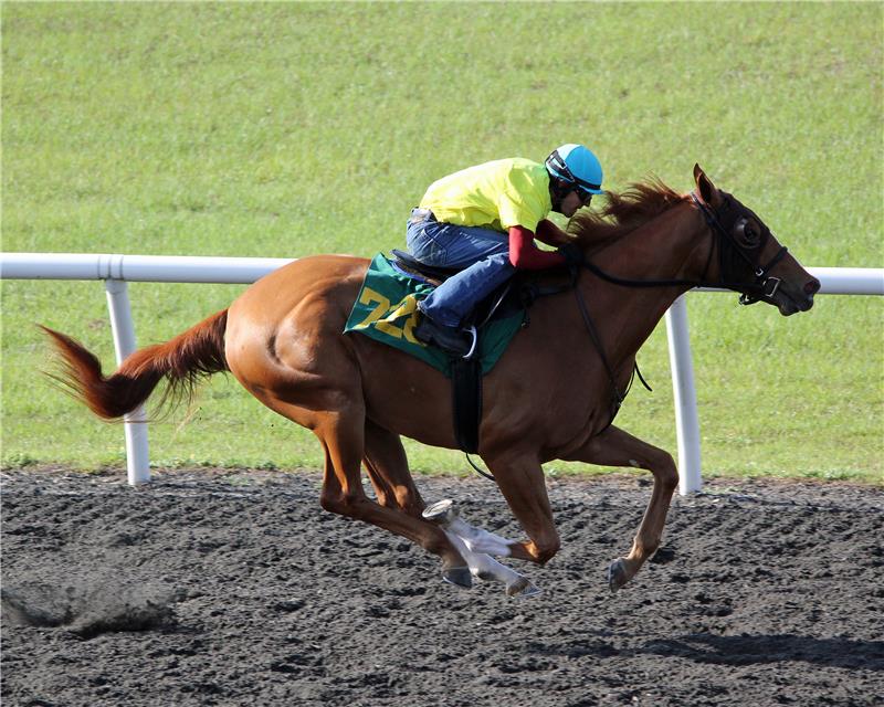 Hip728-AlmostParadise2013 (1)