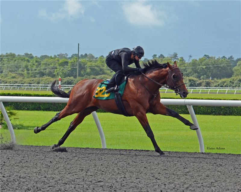 Hip825-breeze-web(2)