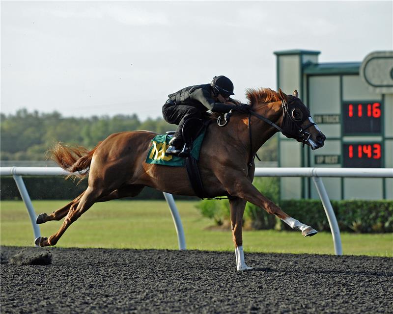 Hip 1116 - May Day Bluff 2014 (3)
