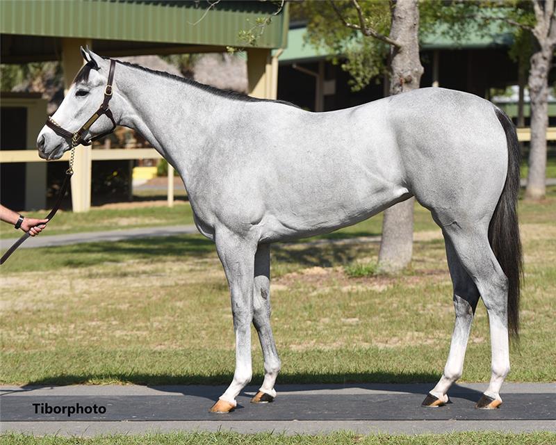 Hip 128 - Cupid (Sassy City 2019)