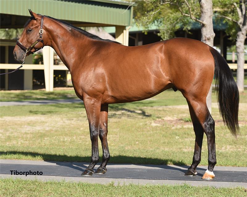 Hip 138 - Air Force Blue (Secret Charm 2019)