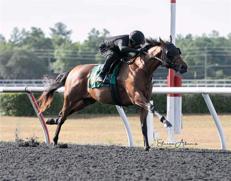 Hip 346 - Fully Equipped 2019 (4)
