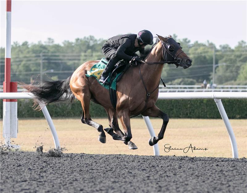 Hip 346 - Fully Equipped 2019 (5)