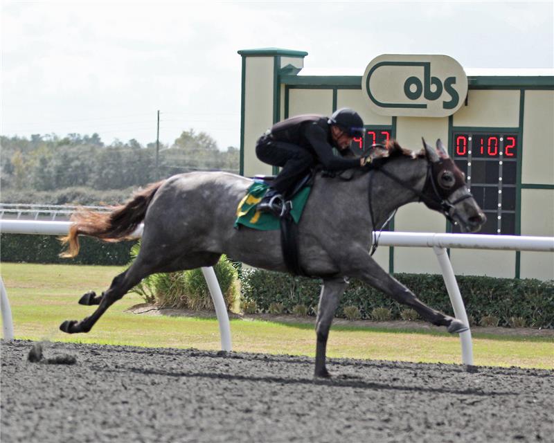 Hip 477 - Commercialize (2)
