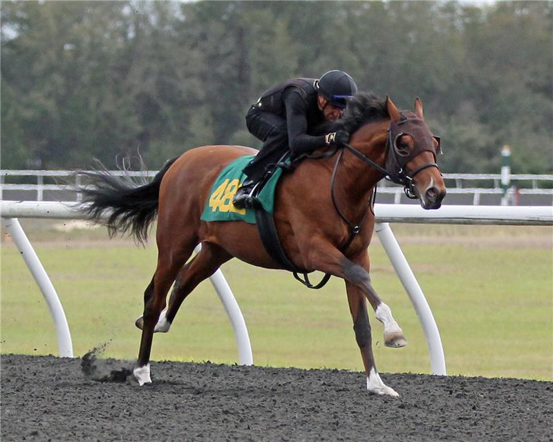 Hip 482 - Count on Wisdom (4)