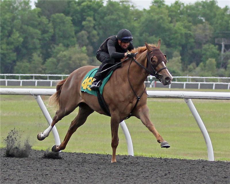 Hip 486 - Apple Sauce 2014 (1)