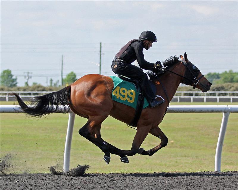 Hip 499 - As Promised 2014 (3)