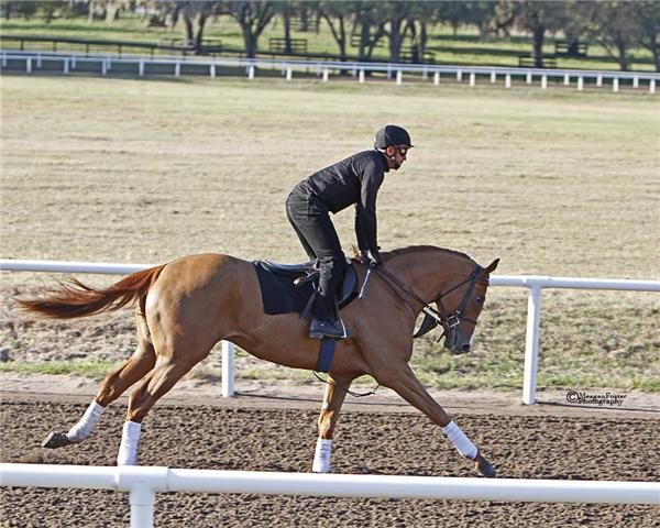 NolinLake11Gallopday3