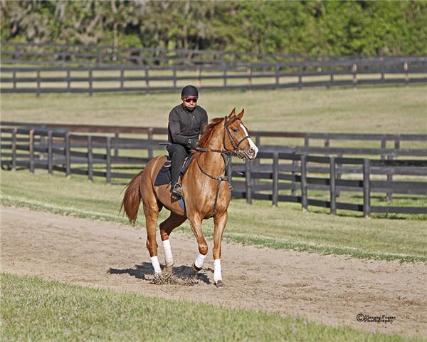 NolinLake11Gallopday5