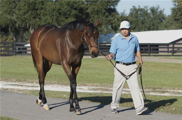 PARADING-LADY-12web2