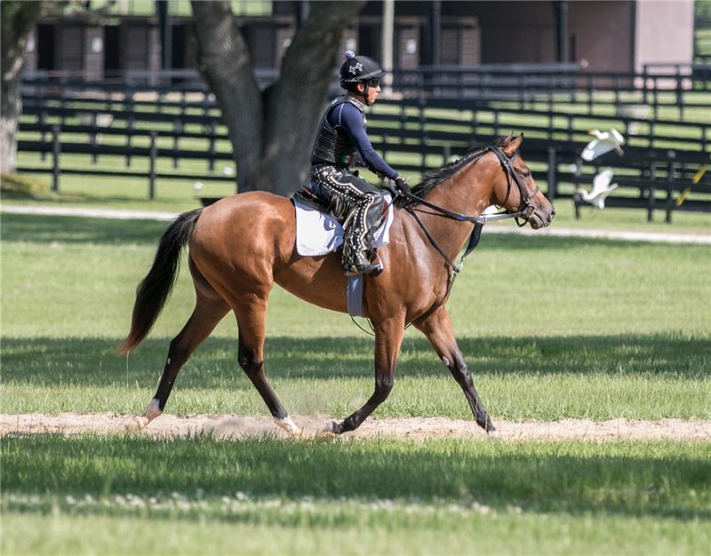 Tough Tiz's Sis 2017 (11)