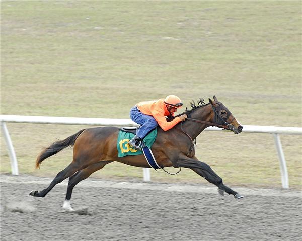 WakiAffair11Prep2Web