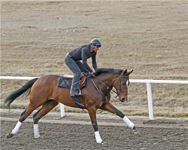 RaspberryEggcream11Gallop2713candind001