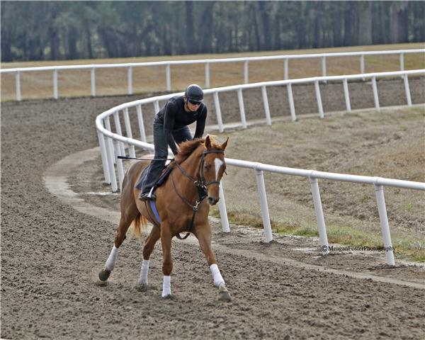 HolyForest11gallop2713candid003