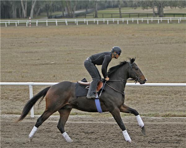 EarlybirdRoad11gallop2713candid001