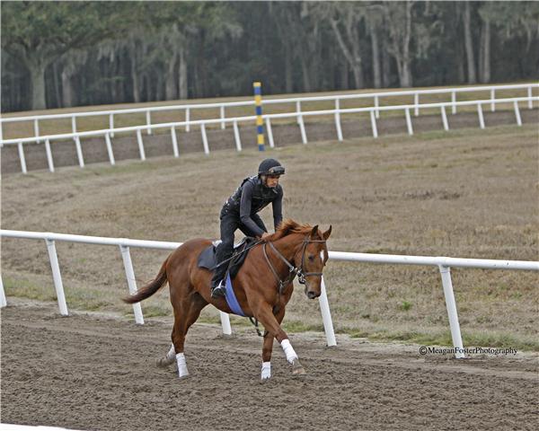 Minetonightsfirst11gallop2713candid004