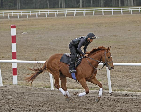 Minetonightsfirst11gallop2713candid001