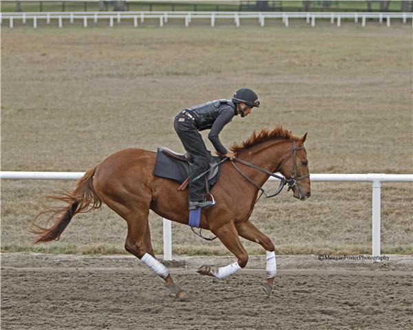 Minetonightsfirst11gallop2713candid002