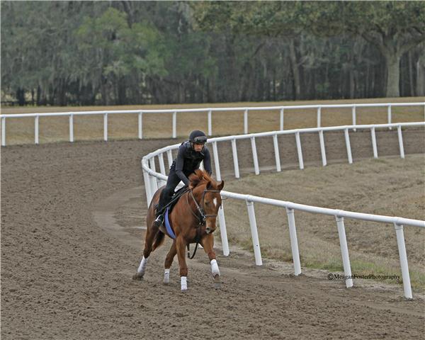Minetonightsfirst11gallop2713candid005