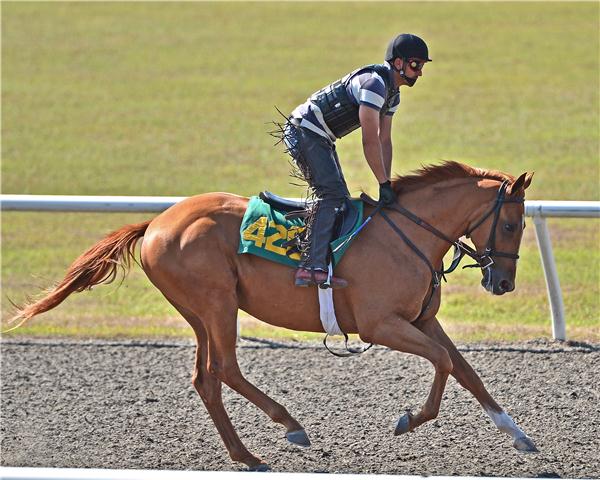 hip428web2