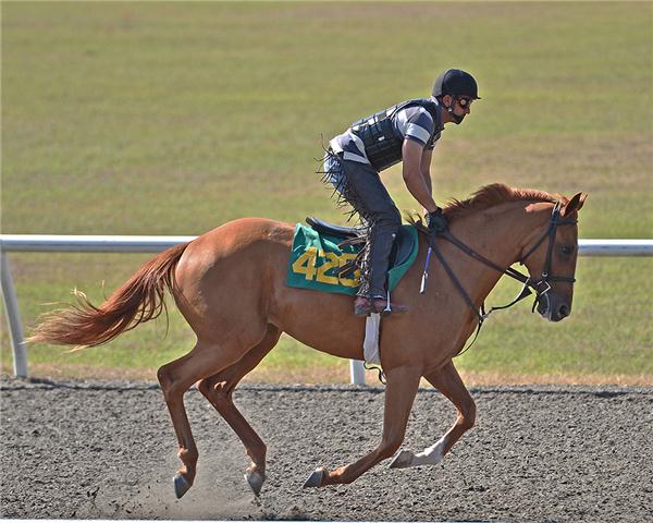 hip428web3
