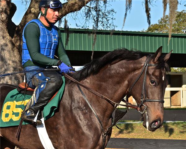 hip852web2