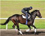 DeltaSensation10Gal2