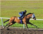 SisterSporty10Br